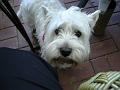 Picture 037
